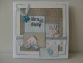 /album/babykaarten/hpim3419-jpg/
